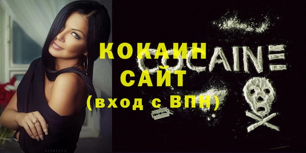 хмурый Верея