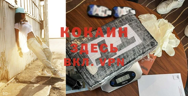 хмурый Верея