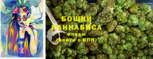хмурый Верея