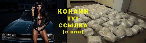 хмурый Верея