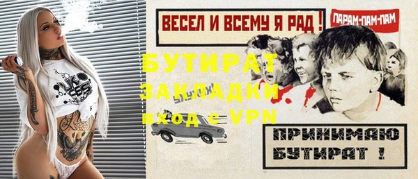 хмурый Верея