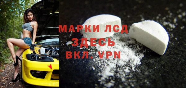 хмурый Верея