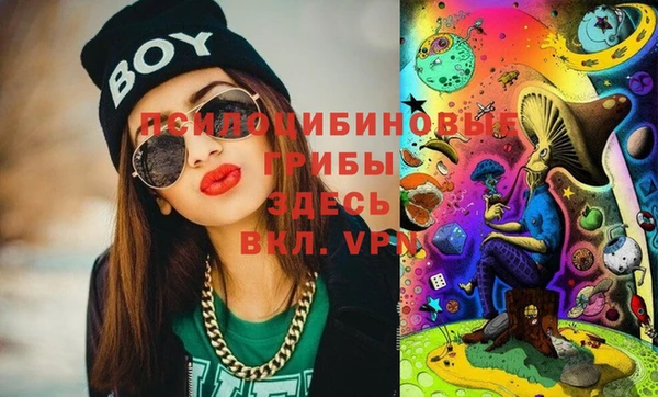 хмурый Верея