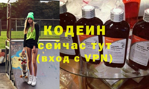 хмурый Верея